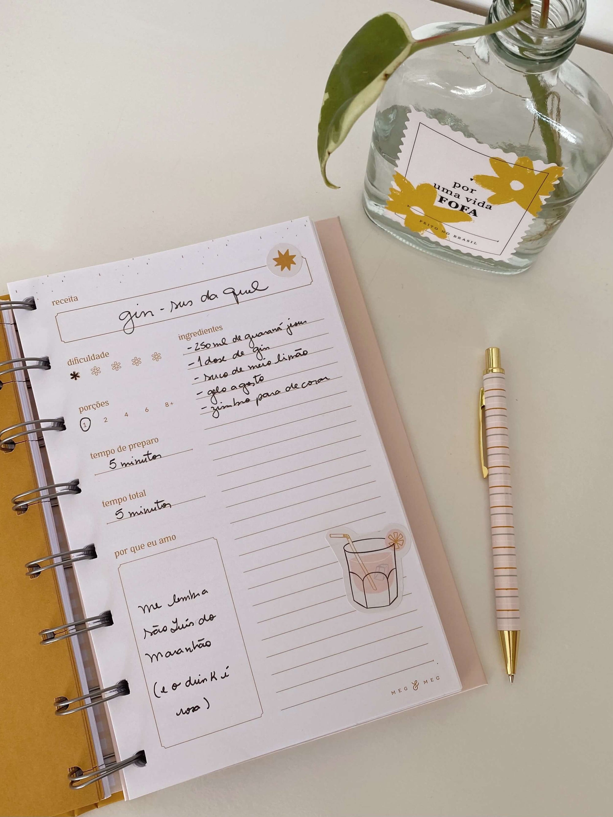 esta imagem mostra um caderno de receitas da meg e meg, ao lado dele tem um vasinho com uma planta e uma caneta meg