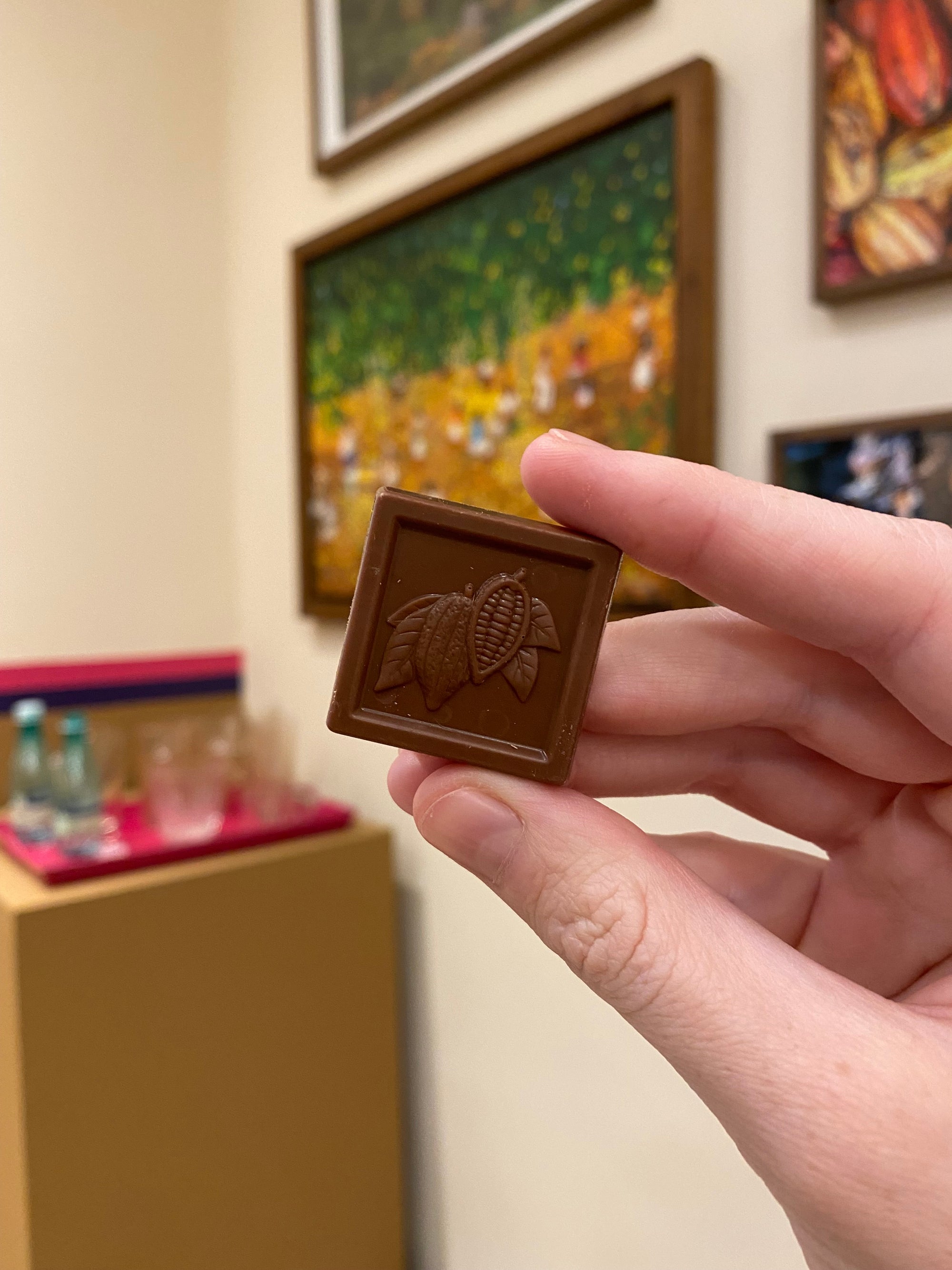Megers em Ação #2: como é uma fábrica da Chocolat du Jour