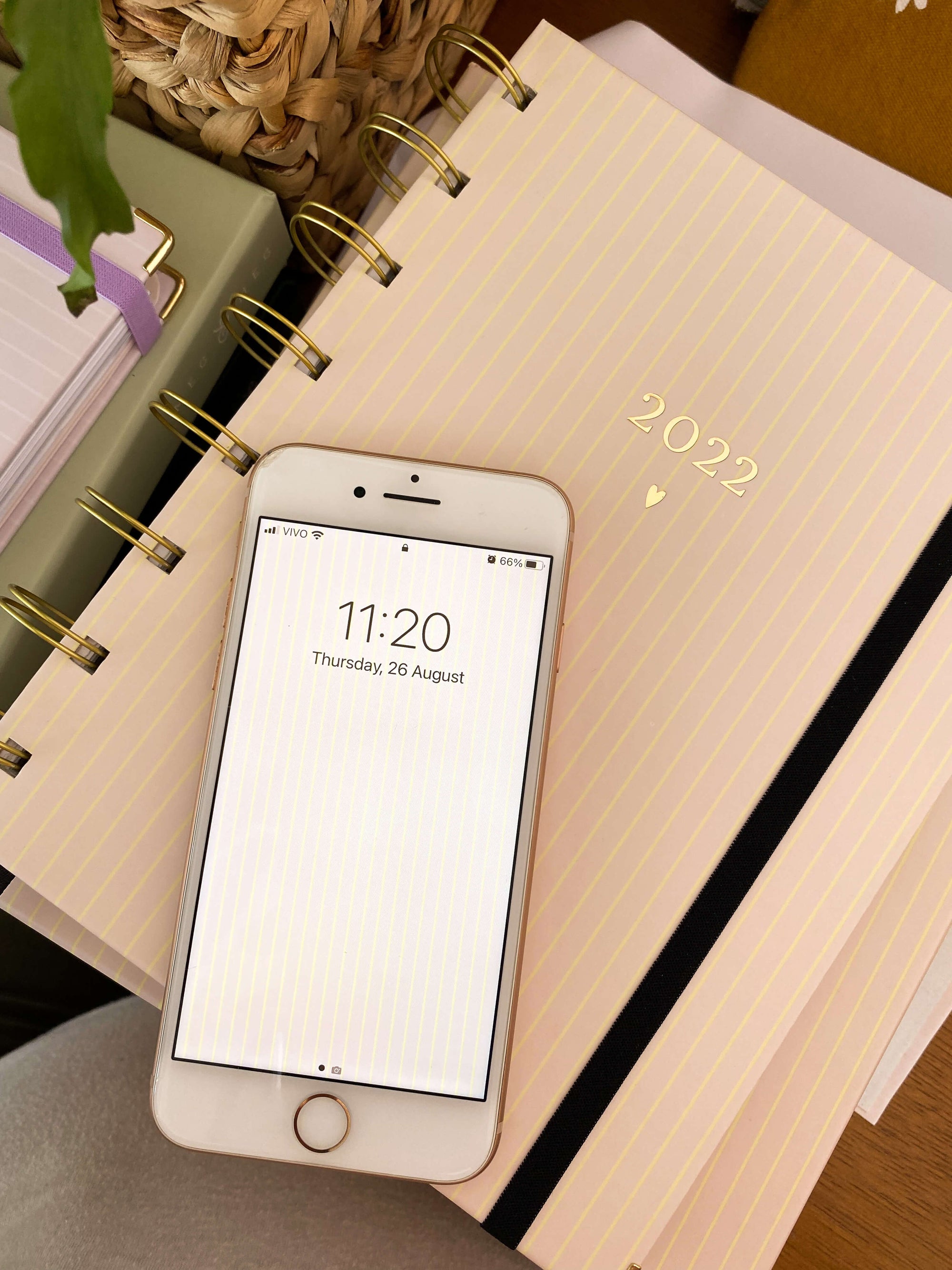 Planos de Fundo combinando com o Meg Planner 2022