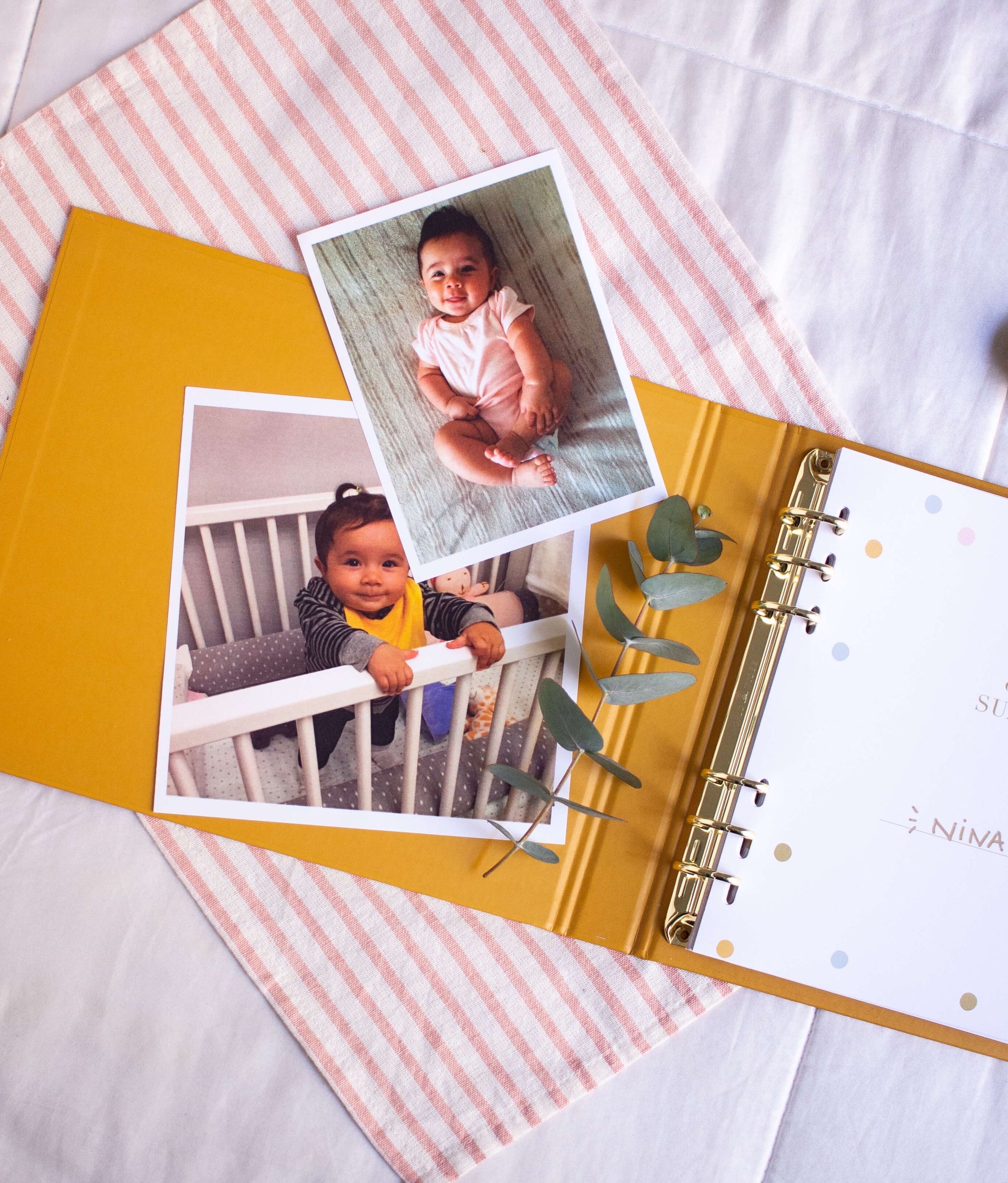 Livro do Bebê: detalhes e bastidores da criação