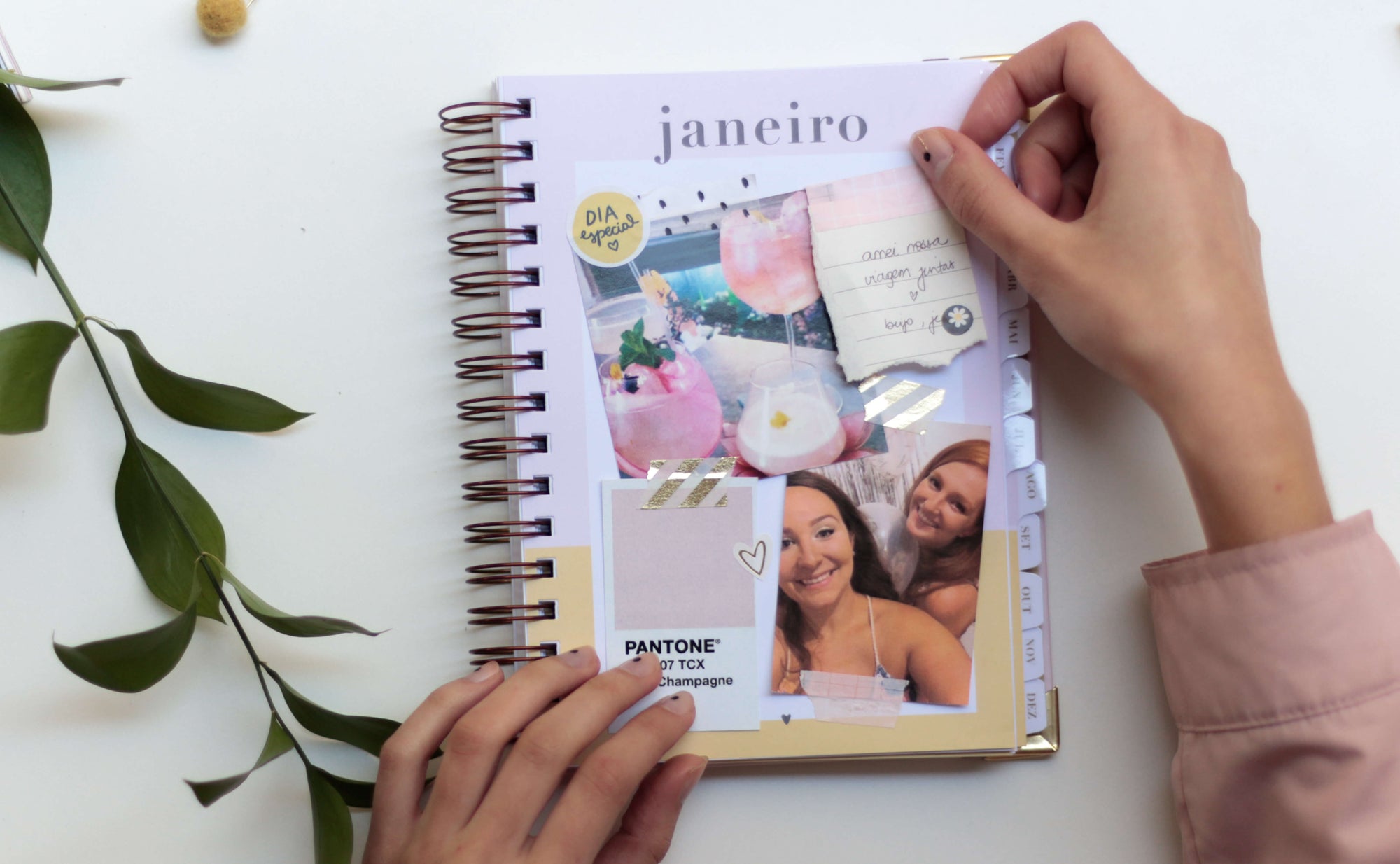 Os Planners das Megers em 2019